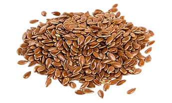 ROASTED FLAX SEED PLAIN