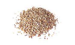 SESAME SEED ROASTED